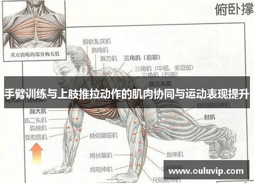 手臂训练与上肢推拉动作的肌肉协同与运动表现提升